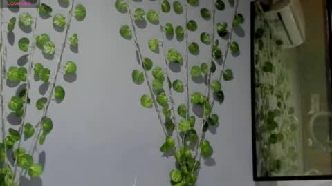 marly online show from February 26, 2025, 3:10 am