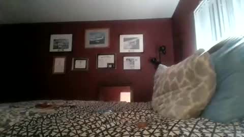 Reparations for the departed online show from February 14, 2026, 10:23 am