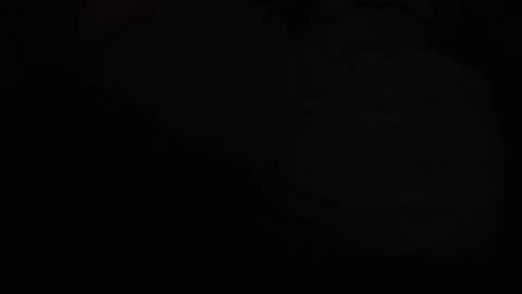 martamoontrans online show from November 20, 2025, 2:01 am