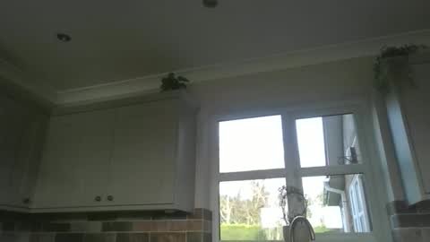 martinrgbxxxx online show from February 23, 2026, 9:28 am