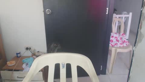 maryam_arabicmilk online show from January 8, 2025, 3:07 pm