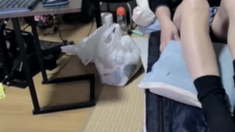 masayann online show from January 17, 2025, 10:33 am