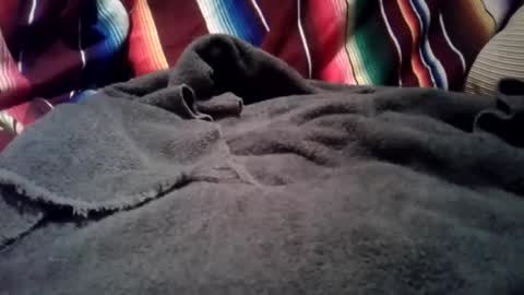 mastrdebator online show from December 1, 2025, 3:33 am