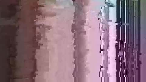 maththebear96 online show from April 13, 2026, 3:01 am