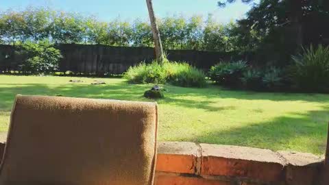 Matt Sweet online show from January 14, 2026, 2:23 pm