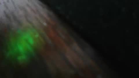 Snapshot of mattw31019 chatting on February 24, 2026, 8:29 pm mattw31019 online show from February 24, 2026, 8:29 pm