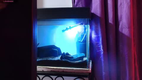 Max online show from March 9, 2026, 2:04 am