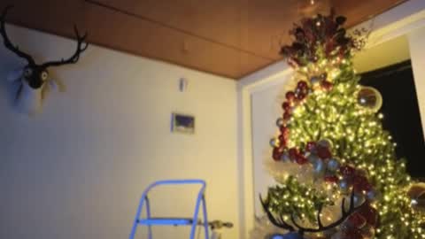 Snapshot of maximohoot chatting on December 3, 2024, 11:57 pm Sebastian online show from December 3, 2024, 11:57 pm