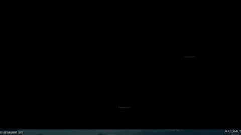 Maximus7871 online show from January 1, 2025, 11:07 pm
