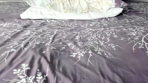 Maybelline69 online show from September 20, 2025, 9:05 pm