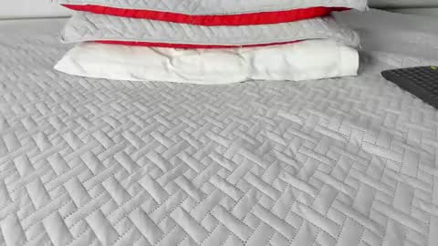 Maybelline69 online show from March 11, 2026, 3:23 am