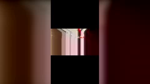 Snapshot of mcgriffwes2 chatting on February 12, 2026, 2:17 am mcgriffwes2 online show from February 12, 2026, 2:17 am