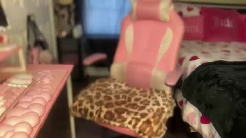 Snapshot of meetsouthernpeach chatting on February 6, 2026, 7:50 pm Southern Peach online show from February 6, 2026, 7:50 pm