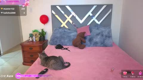 sofi online show from November 11, 2025, 2:06 pm