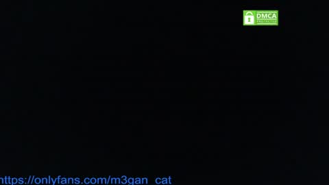 megan_cat online show from July 4, 2026, 5:19 pm