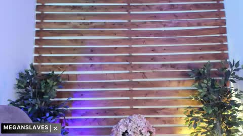 megan_raiin online show from November 18, 2025, 8:41 am