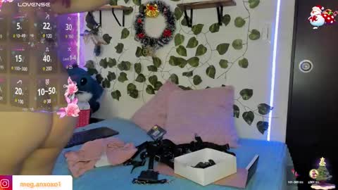 Snapshot of megan_xoxo1 chatting on December 6, 2024, 12:49 pm Megan online show from December 6, 2024, 12:49 pm