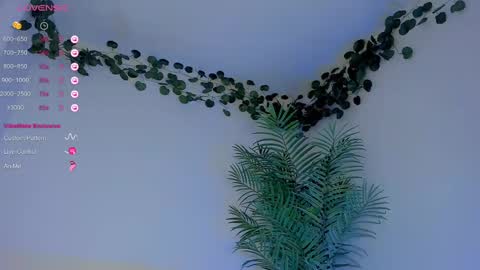 megancarlott_ online show from March 1, 2025, 5:31 am