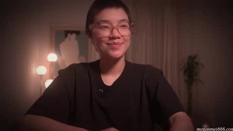 Snapshot of meganmei666 chatting on February 10, 2026, 3:10 am for more 3 online show from February 10, 2026, 3:10 am