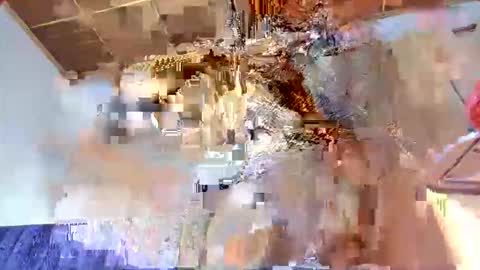 MEG online show from November 14, 2025, 4:55 am