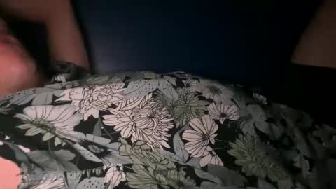 Snapshot of mejiayo chatting on March 8, 2025, 10:11 am Mr. Meh online show from March 8, 2025, 10:11 am