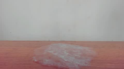 Melania online show from January 19, 2026, 12:31 pm