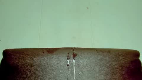 Melania online show from April 12, 2026, 4:01 pm