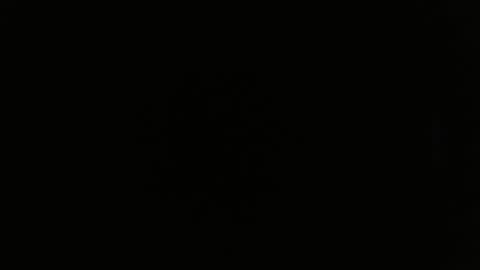 Snapshot of melanifisher chatting on February 20, 2025, 10:48 am Melani online show from February 20, 2025, 10:48 am