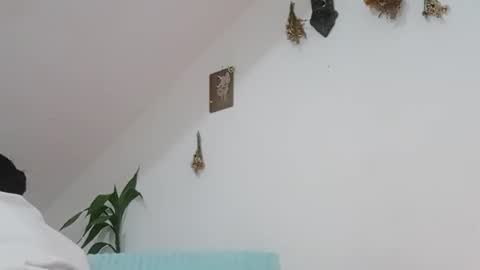 melissa online show from November 1, 2025, 10:17 am