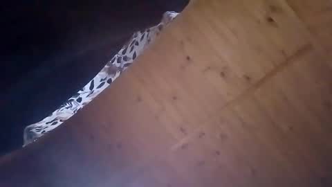 Snapshot of mellodiego760 chatting on October 20, 2025, 3:51 am mellodiego760 online show from October 20, 2025, 3:51 am