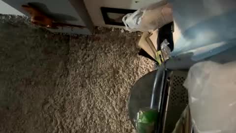 melodysnow online show from January 8, 2026, 12:40 pm