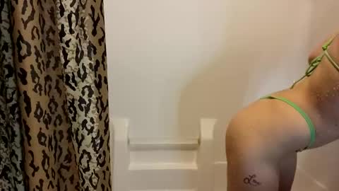 Snapshot of meltingmynx chatting on October 13, 2025, 11:43 am meltingmynx online show from October 13, 2025, 11:43 am