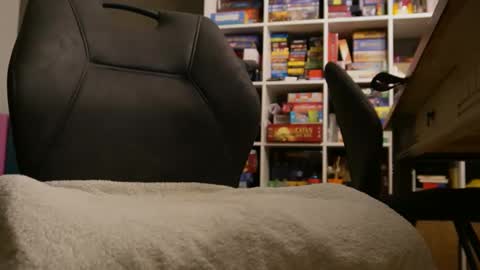 Snapshot of meneerkaas chatting on December 29, 2024, 4:30 pm meneerkaas online show from December 29, 2024, 4:30 pm