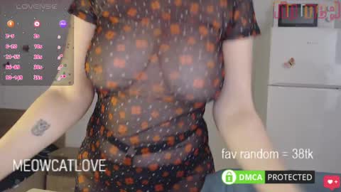 meowcatlove online show from January 27, 2025, 6:31 pm