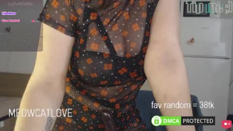 meowcatlove online show from March 4, 2025, 7:43 pm