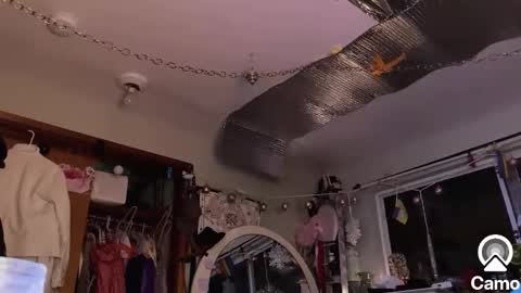 Snapshot of merelyalover chatting on January 30, 2025, 2:06 am gurlnips online show from January 30, 2025, 2:06 am