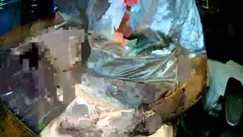 messymechanic69 online show from June 30, 2026, 12:22 am