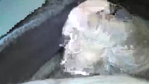 Snapshot of mexianthehawk chatting on September 14, 2025, 10:09 pm mexianthehawk online show from September 14, 2025, 10:09 pm