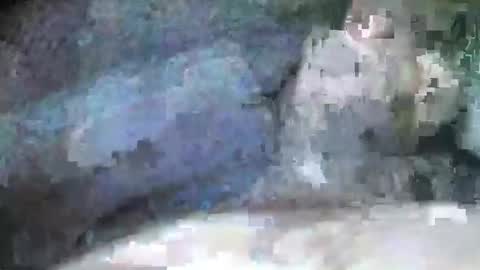 Snapshot of mexianthehawk chatting on September 28, 2025, 9:09 pm mexianthehawk online show from September 28, 2025, 9:09 pm