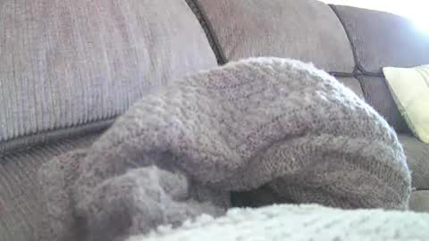 mexianthehawk online show from April 18, 2026, 2:04 am