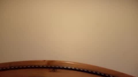 Snapshot of mhorny5 chatting on September 14, 2025, 8:41 pm mhorny5 online show from September 14, 2025, 8:41 pm