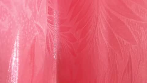 mia_nova5 online show from July 5, 2026, 11:50 am