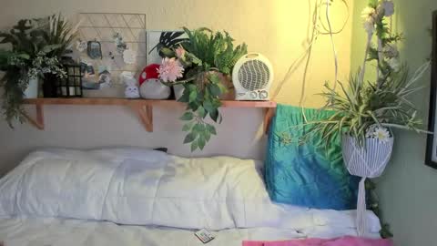 Snapshot of miaa_rose__ chatting on December 20, 2024, 7:12 am Miaa online show from December 20, 2024, 7:12 am