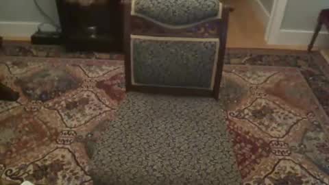 Snapshot of miamiwrestler chatting on December 22, 2025, 2:41 am miamiwrestler online show from December 22, 2025, 2:41 am