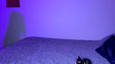 michellepetitte online show from April 2, 2026, 1:58 am