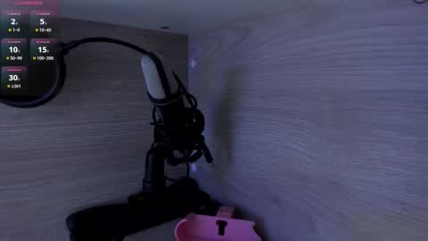 Snapshot of michellepreston_ chatting on February 20, 2026, 11:54 am michellepreston_ online show from February 20, 2026, 11:54 am