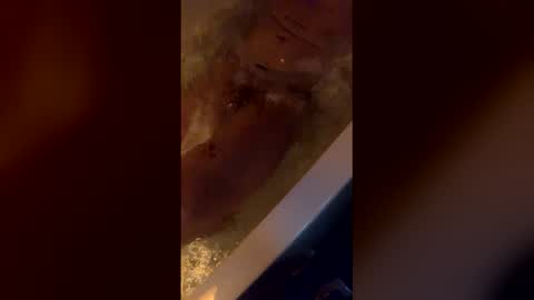 Snapshot of michelsexy69603790 chatting on April 12, 2026, 3:44 am michelsexy69603790 online show from April 12, 2026, 3:44 am