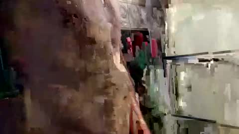 mickavis1975 online show from January 12, 2025, 6:05 pm