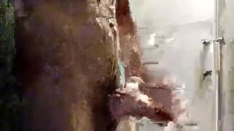 mickavis1975 online show from November 16, 2025, 5:18 pm