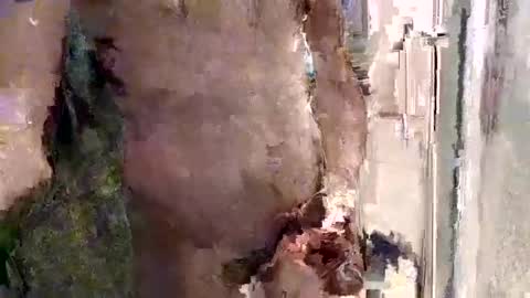 mickavis1975 online show from April 28, 2026, 9:42 pm